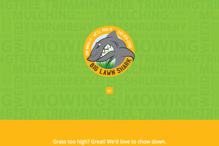 Big Lawn Shark website preview